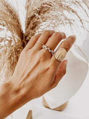 
                  
                    Shell ring
                  
                