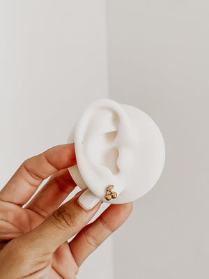 
                  
                    Cherry studs
                  
                