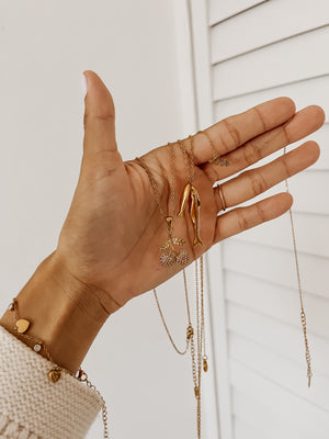 
                  
                    Two fish necklace (middle one in picture)
                  
                
